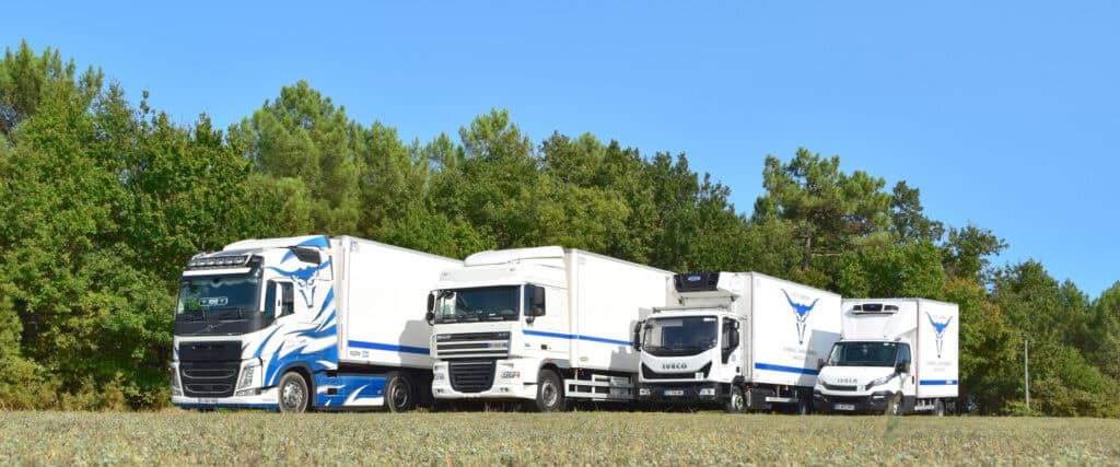 Quatre camions et utilitaires réfrigérés blancs (Volvo, DAF, Iveco) avec logos STP Carriero, dont Volvo FJ-647-HS, alignés dans un champ boisé.