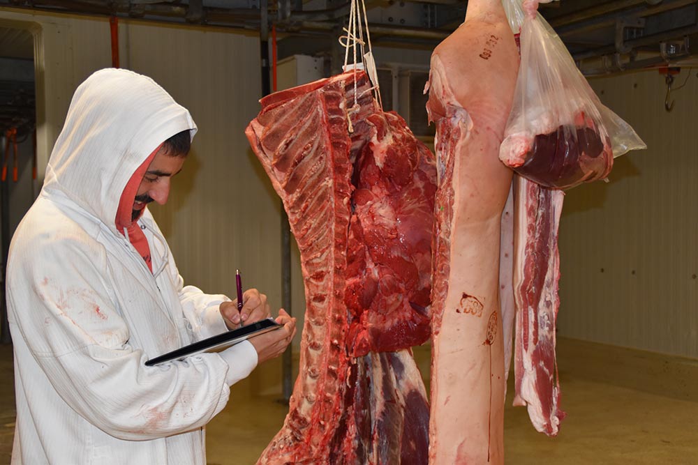 STP-Cabrero : enlèvement de viandes chez fournisseur