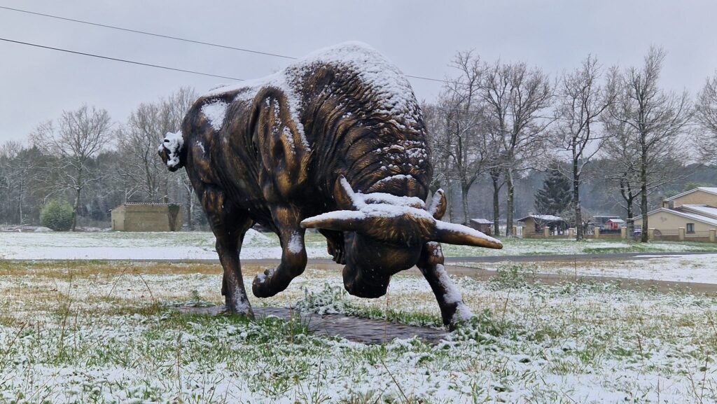 Taureau de bronze sous la neige : Majestueuse statue hivernale Grande statue de taureau en bronze, enneigée, en pleine charge dans un champ sous la neige. Arbres nus et maisons en arrière-plan.